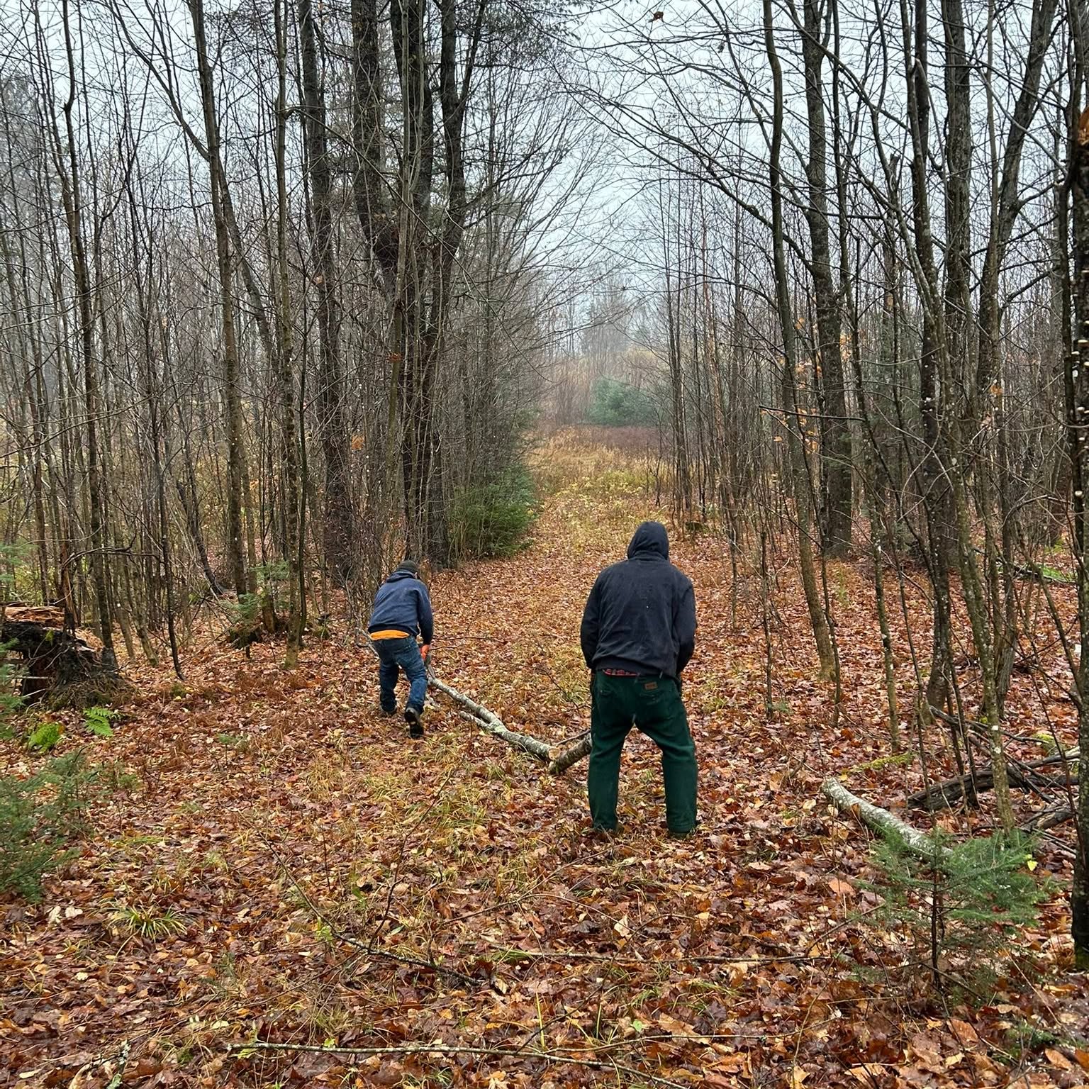 Danville S-Ski-Mo volunteers clearing a wooded trail corridor.